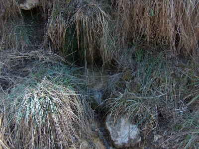 Fuente del Acebillo I - imagen 2