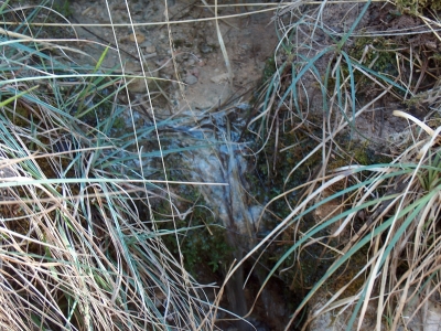 Fuente del Acebillo I - imagen 4