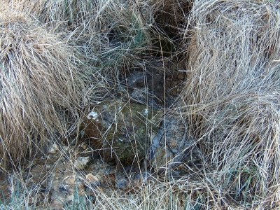 Fuente del Acebillo II - imagen 1