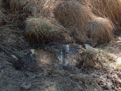 Fuente del Acebillo III - imagen 5
