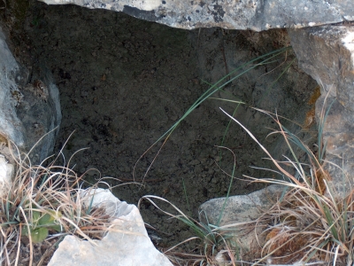 Fuente Ancha - imagen 5