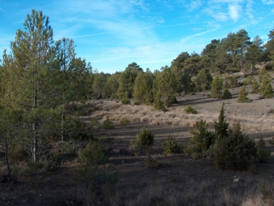 Fuente Ancha - imagen 6