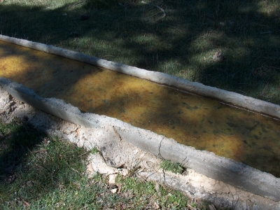 Fuente de las Bocas de las Cañás - imagen 3