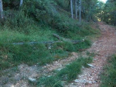 Fuente de la Canaleja - imagen 1