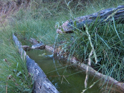 Fuente de la Canaleja - imagen 5