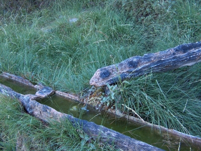 Fuente de la Canaleja - imagen 6