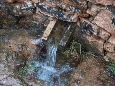 Fuente la Canaleja - imagen 7