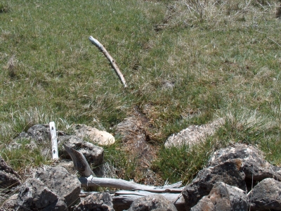 Fuente de la Cañá de Vilano - imagen 6