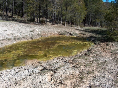 Fuente de la Carnicera - imagen 1