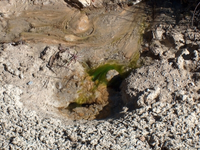 Fuente de la Carnicera - imagen 3