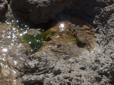 Fuente de la Carnicera - imagen 4