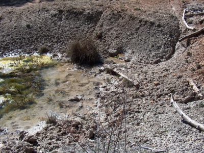 Fuente de la Carnicera - imagen 6