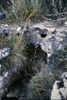 Fuente de la Casa de las Carboneras - imagen 2