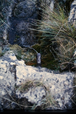 Fuente de la Casa de las Carboneras - imagen 3