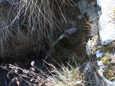 Fuente de la Casa de las Carboneras - imagen 5