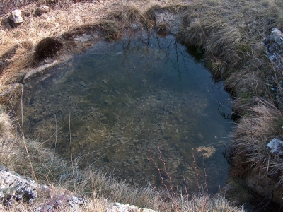 Fuente de la Casa de las Carboneras - imagen 6
