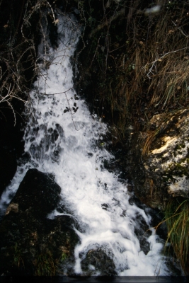 Fuente del Castañal - imagen 2