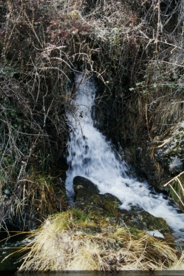Fuente del Castañal - imagen 3