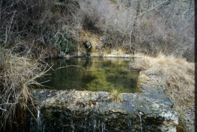 Fuente del Castañal - imagen 4