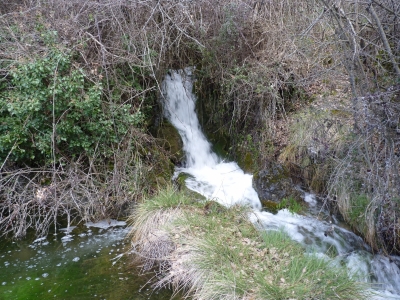 Fuente del Castañal - imagen 6