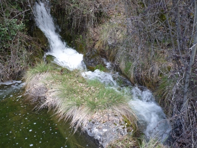Fuente del Castañal - imagen 7