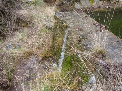 Fuente del Castañal - imagen 8