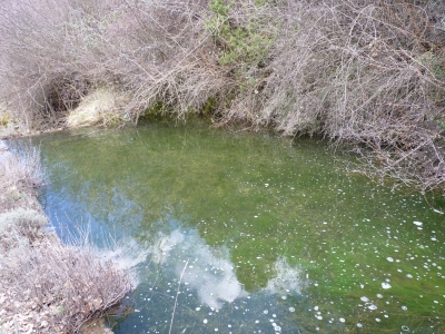 Fuente del Castañal - imagen 9