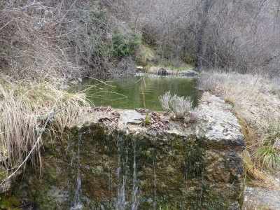 Fuente del Castañal - imagen 10