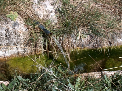 Fuente de la Covacha de Tirao I - imagen 2