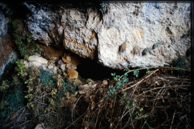 Fuente de la Cueva del Fraile - imagen 2