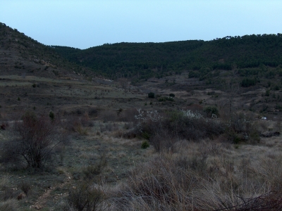 Los Encaños del Cerecillo I - imagen 5