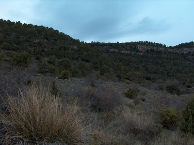 Los Encaños del Cerecillo III - imagen 1