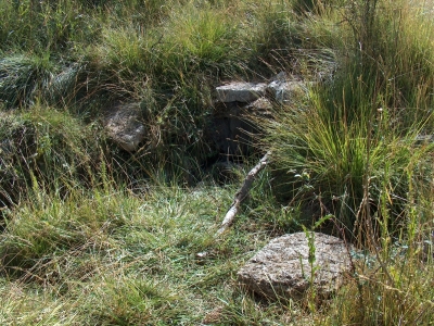 Fuente del Enebro - imagen 1