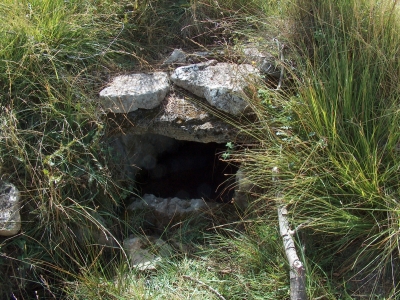 Fuente del Enebro - imagen 2
