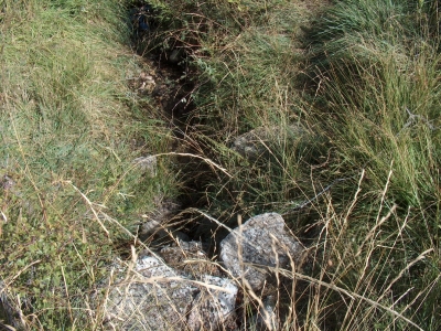 Fuente del Enebro - imagen 5