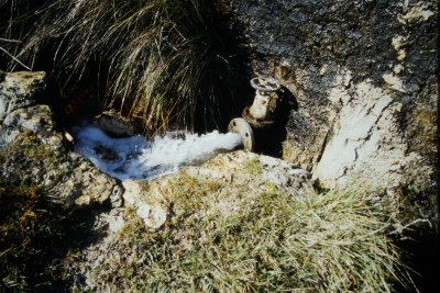 Estanque del Tío Isidro - imagen 2