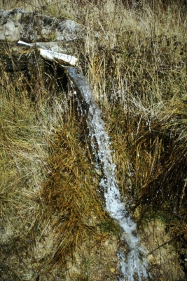 Estanque del Tío Isidro - imagen 3