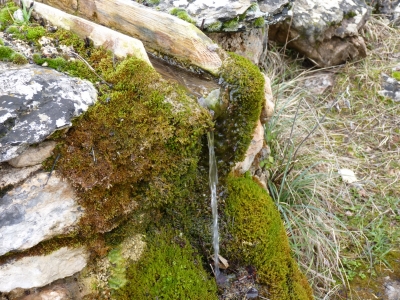 Fuente Albilla - imagen 3