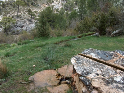 Fuente Albilla - imagen 5