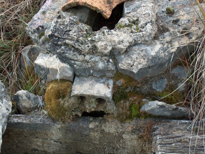 Fuente Galena - imagen 5