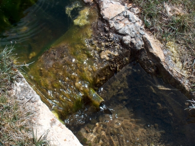 Gamellón de la Cañada del Mosquito - imagen 4