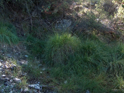 Fuente de los Hontanares I - imagen 1