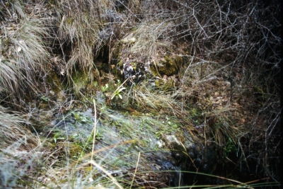 Fuente los Hontanares - imagen 1
