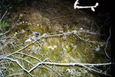 Fuente los Hontanares - imagen 2