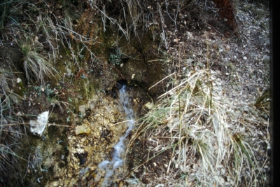 Fuente los Hontanares - imagen 4