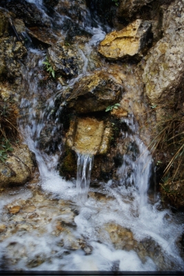Fuente los Hontanares - imagen 5