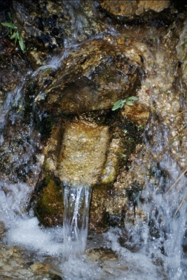 Fuente los Hontanares - imagen 7