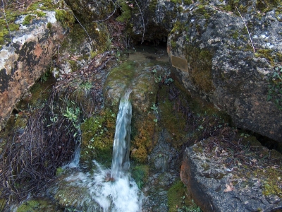 Fuente de Horro Concejo - imagen 2