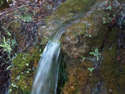 Fuente de Horro Concejo - imagen 3