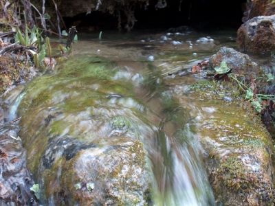 Fuente de Horro Concejo - imagen 4